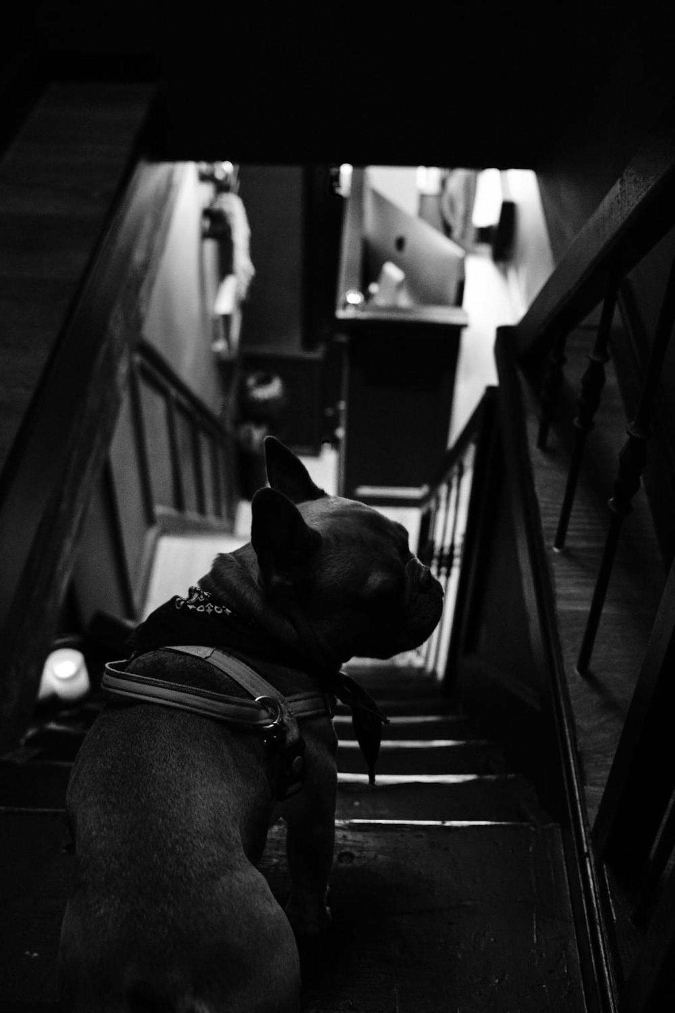 Boutique Hotel & Restaurant Frenchie ハーレム エクステリア 写真